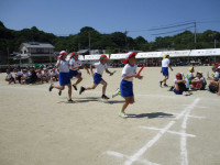AIMG_2395