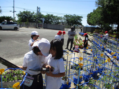 AIMG_2692