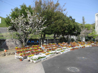 AIMG_1804