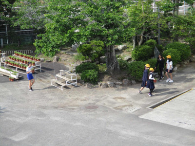 A栽培IMG_2394