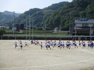 AIMG_2539