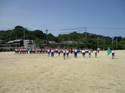 AIMG_2599