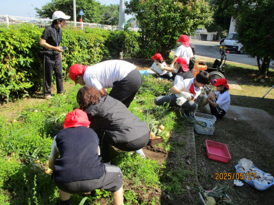 AIMG_0926