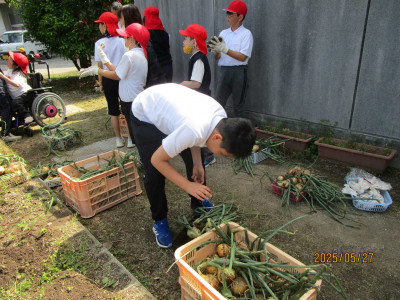 AIMG_0943