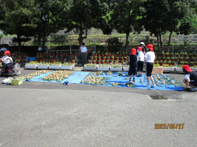 AIMG_0966