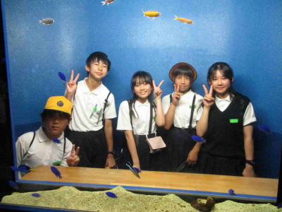 AIMG_5531