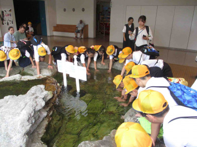 AIMG_5559