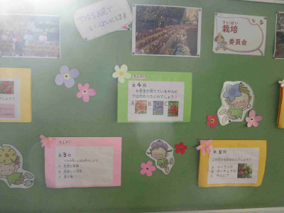 AIMG_6703