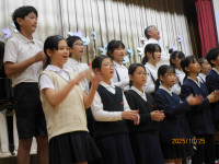 HIMG_3739