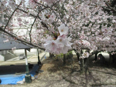 AIMG_2888
