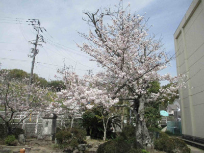 AIMG_2893