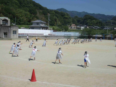 AIMG_4132