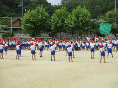 AIMG_4217