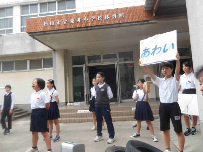 AIMGP0059