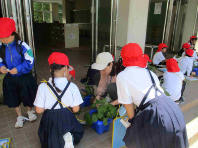 AIMG_5366