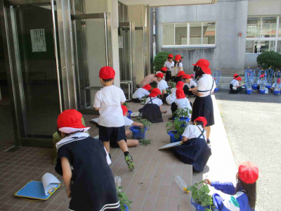 AIMG_5371