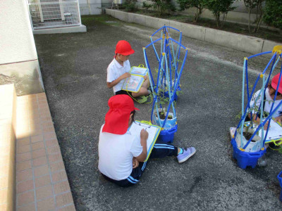 AIMG_5356