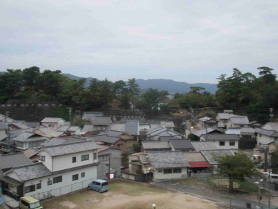 AIMG_7869