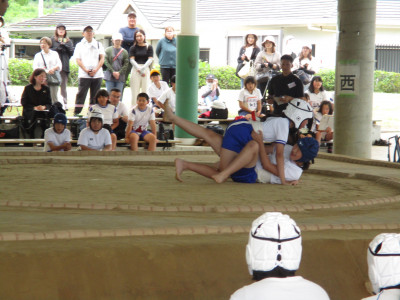 IMG_3470