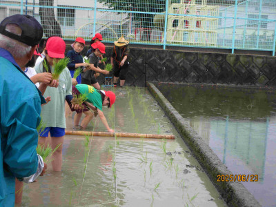 AIMG_0838
