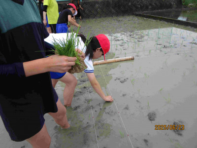 AIMG_0868