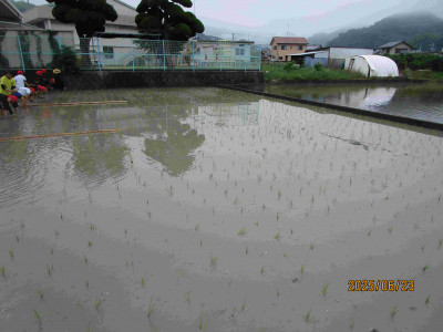 AIMG_0885