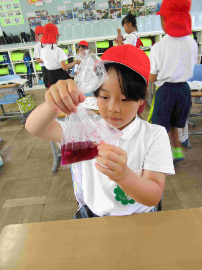 AIMG_0538