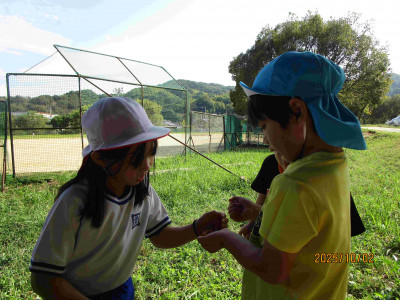 AIMG_1606