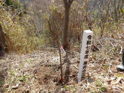 AIMGP0826