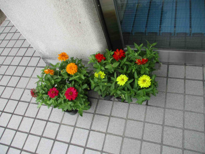 AIMG_5732