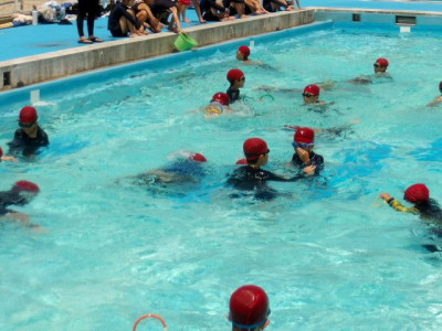 BIMGP1973