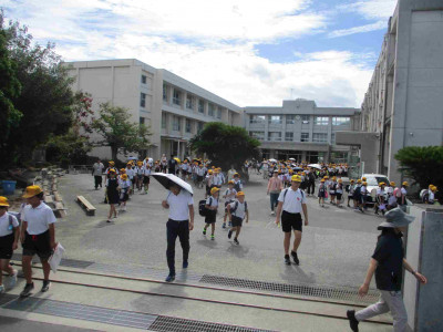 AIMG_7004