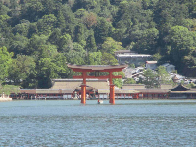 AIMG_7745